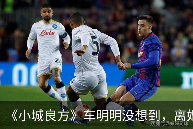 《小城良方》车明明没想到，离婚远走，却促成陈俊南平步青云