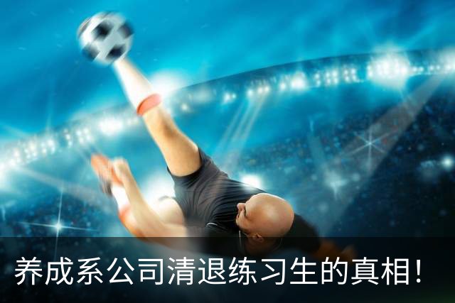养成系公司清退练习生的真相！