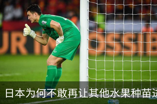 日本为何不敢再让其他水果种苗进入中国？别以为只是贸易摩擦。日本不愿放水果进中国，是因为被“偷家”偷怕了