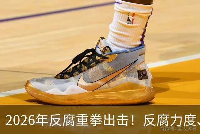 2026年反腐重拳出击！反腐力度、手段、模式全面升级！